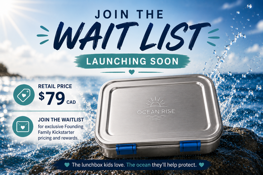 Ocean Rise Stainless Steel Lunchbox | Coming Soon
